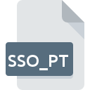 SSO_PT значок файла