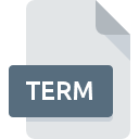 TERM file icon