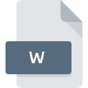 W file icon