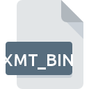 XMT_BIN значок файла