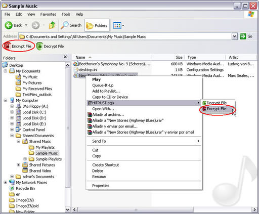 Egis Información Básica Y Extensiones De Archivo Asociadas File