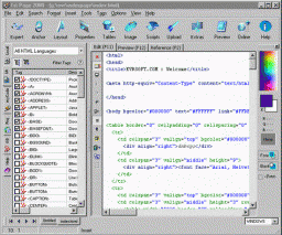 1st Page 2000 miniatyrbilde