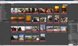 Adobe Bridge miniaturka