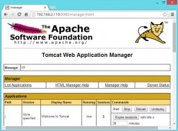 Apache Tomcat miniatyrbilde