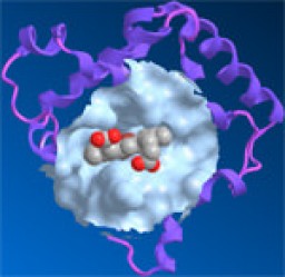 Chem3D miniatyrbild