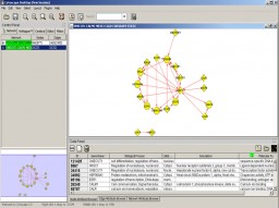 Cytoscape miniaturka