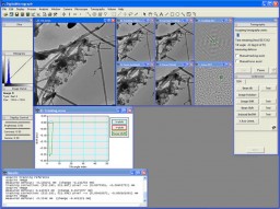 DigitalMicrograph miniaturka