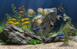 Dream Aquarium miniatyrbild