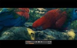 Elmedia Player thumbnail