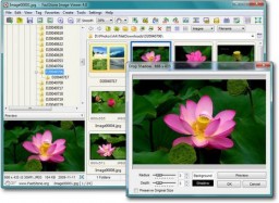 FastStone Image Viewer miniaturka