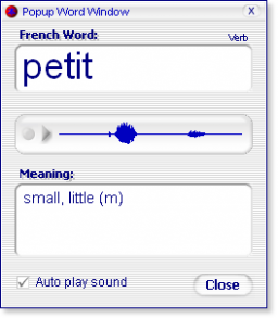 French FlashCards miniatyrbilde