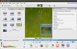 Google Picasa for Linux miniatyrbild