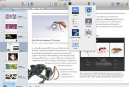 iBooks Author miniatyrbild