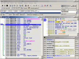 Interactive Disassembler miniaturka