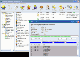 Internet Download Manager miniaturka