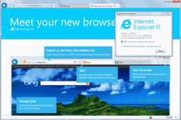 Microsoft Internet Explorer miniaturka