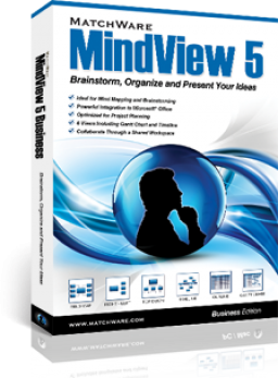 MindView miniaturka