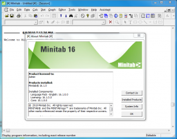 Minitab miniaturka