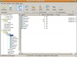 Navicat for PostgreSQL (Linux) thumbnail