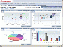 Primavera Enterprise Project miniaturka