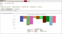 RiskMetrics RiskManager miniatyrbilde