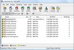 SecureZIP miniatyrbild