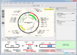 SnapGene miniatyrbild