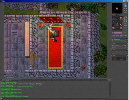 Tibia thumbnail