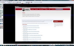 Unreal Development Kit miniatyrbilde