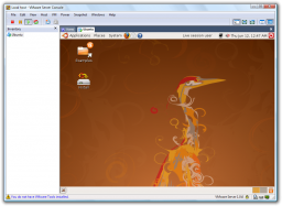 VMware Server miniaturka