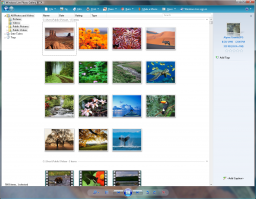Windows Live Photo Gallery thumbnail