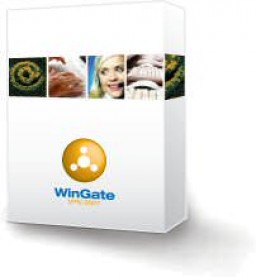 WinGate VPN miniatyrbild