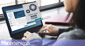 Update software that support file extension W2ENT